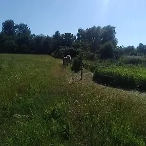  Hébergement de vacances Maison Individuelle 5 Couchages Dans Ferme Equestre